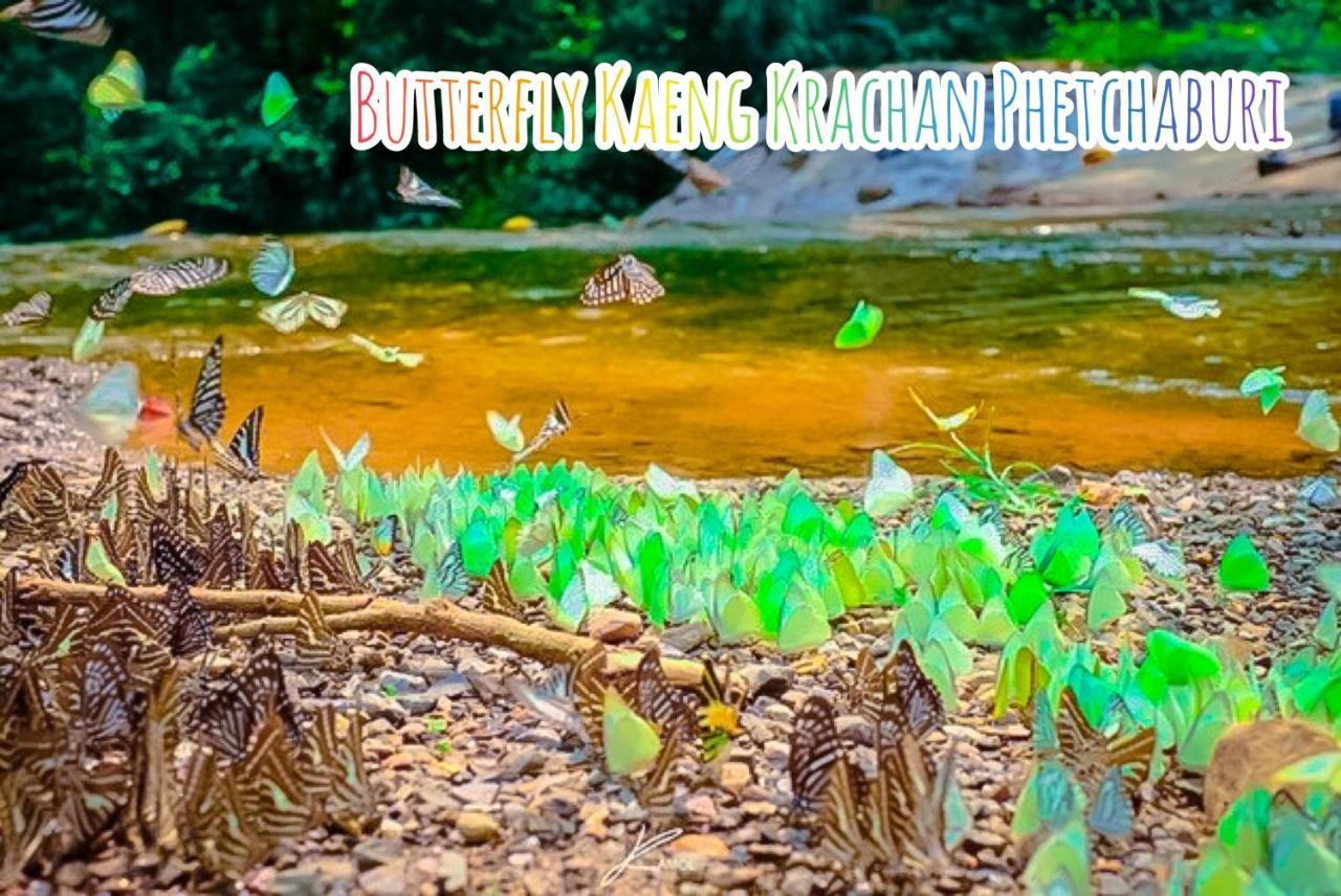 Baan Rai Pray Rung Kaeng Krachan Ban Tha Ling Lom ภายนอก รูปภาพ