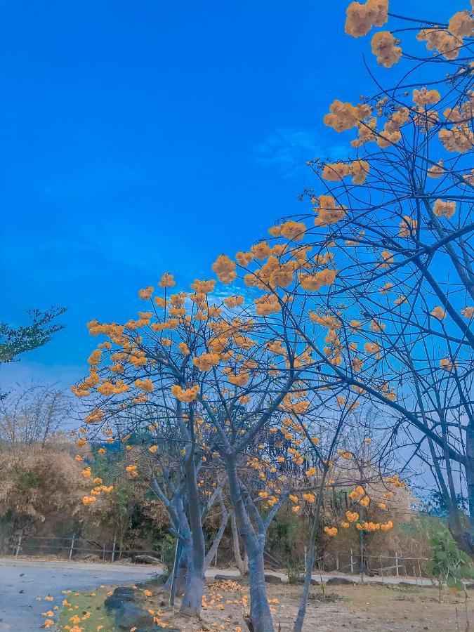 Baan Rai Pray Rung Kaeng Krachan Ban Tha Ling Lom ภายนอก รูปภาพ